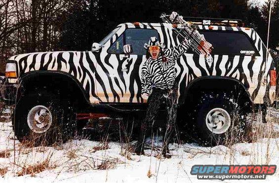 Person in zebra outfit standing next to a zebra-striped SUV with bows and arrows on top