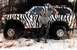 1985 Ford Bronco - A person in a zebra-patterned outfit poses with a similarly decorated SUV in a snowy outdoor setting.