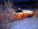 1969 Mercury Cougar - A red car sits abandoned in the snow, partially obscured by branches, with a Supermotors watermark visible in the lower right corner.