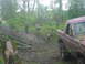 1983 Ford Bronco photo
