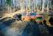 1984 Ford Bronco