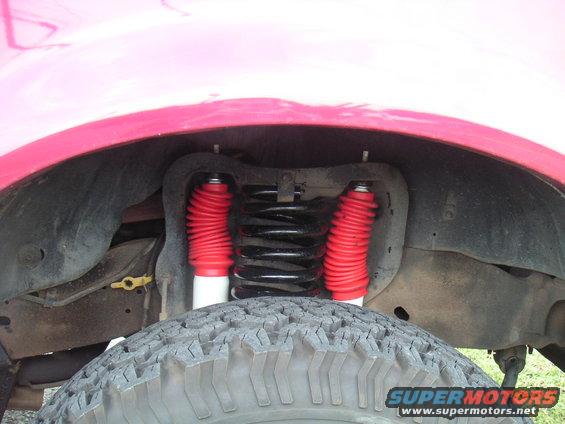front-spring.jpg 