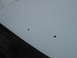 1992 Ford Bronco - This image shows a vehicle's hood with several small spots of rust and a dark trim piece visible.