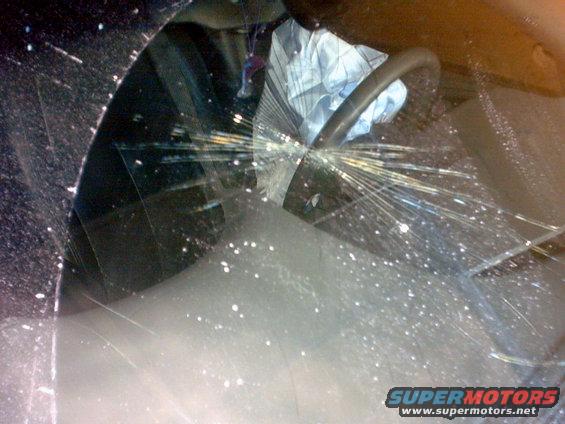 Windshield