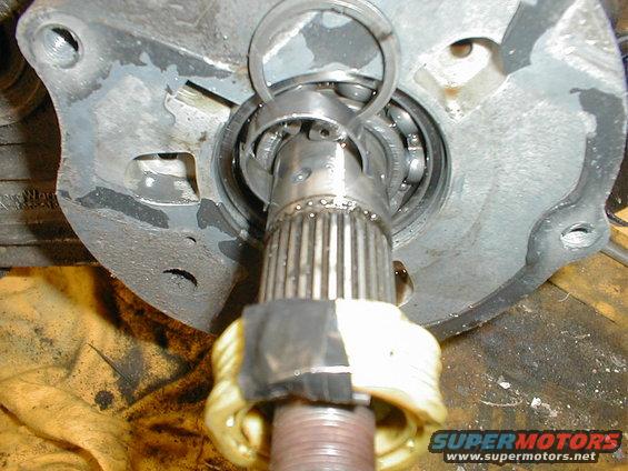 p1010034.jpg stupid speedo gear