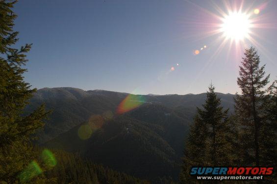 Sunny mountain landscape with trees and lens flare