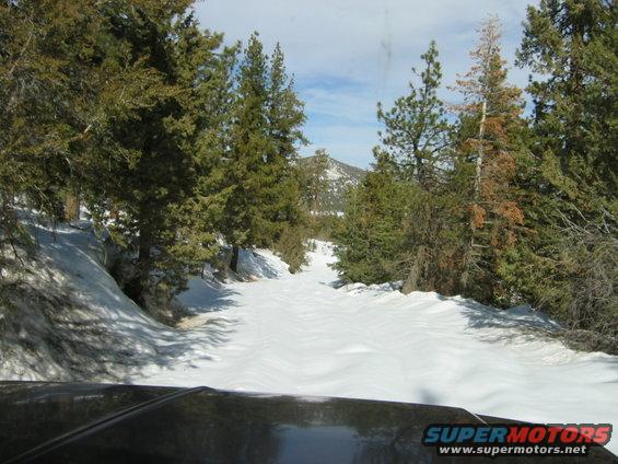 Black dashboard and windshield view of a snow-covered road through pine trees