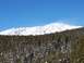 1994 Ford Bronco - A vast mountain range covered in snow looms over a dense forest of pine trees dusted with snow.