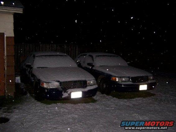 Beasts see snow.