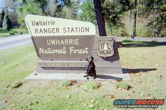 Uwharrie