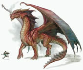 red20dragon.jpg 