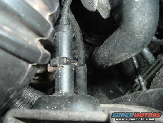 Close-up of engine components including a black plastic part with a clip and hoses