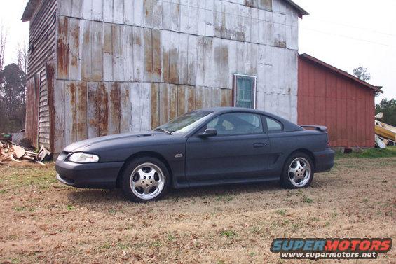 mustang-3.jpg Another pic of Blackie