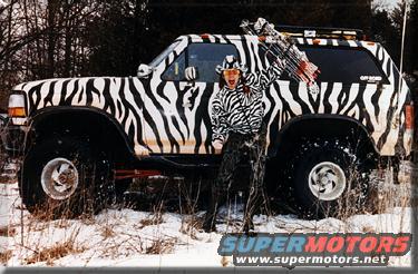 Another Nugent Bronco