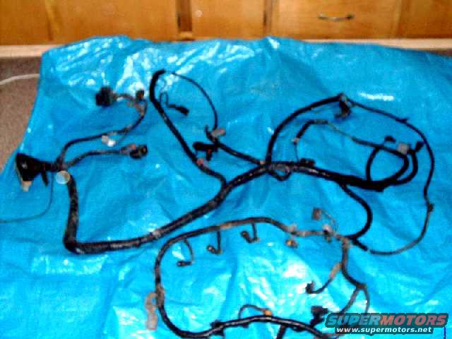 5.0L wiring harness-sold