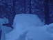 1995 Ford Mustang - A vehicle is heavily covered in snow, with trees visible in the background.