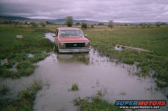 red Ford Bronco partially submerged in a grassy, flooded field under a cloudy sky