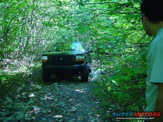 Black 1996 Ford Bronco on wooded trail