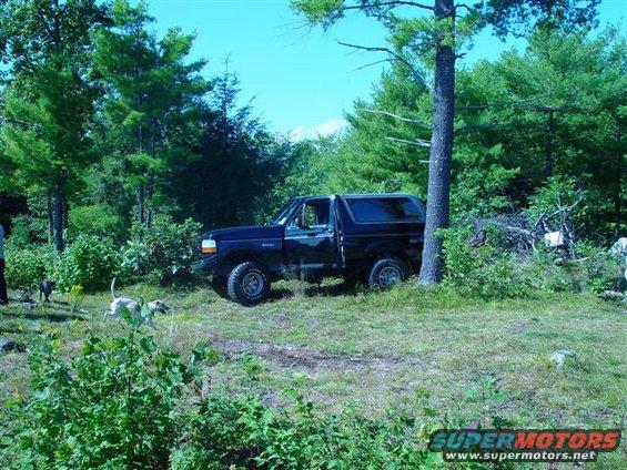 Black 1996 Ford Bronco parked in woods, side view