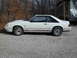 1984 Ford Mustang - 1984 GT350 Side