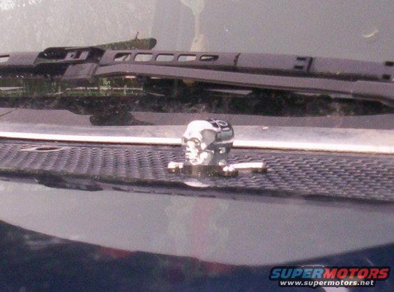 Skull hood ornament on dashboard