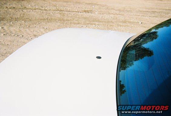 White car hood and rear window with reflection of trees