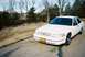 2000 Ford Crown Victoria - A white 2000 Ford Crown Victoria is parked on the side of a road with trees and dry grass in the background.