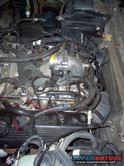 Engine bay detail showing throttle body, fuel injectors, and wiring harness