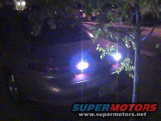 Car rear with headlights on, dark setting, tree branches in foreground