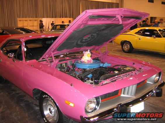 img_0376.jpg Pink Panther