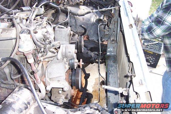 Engine compartment of a 1989 Ford Bronco with hoses, belts, and radiator visible