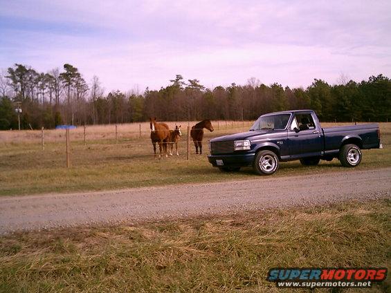 Blue pickup truck parked on a dirt road next to a fenced field with horses