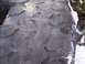 1974 Ford Bronco - Tire tread detail, Supermotors.net logo visible, with snow and foliage.