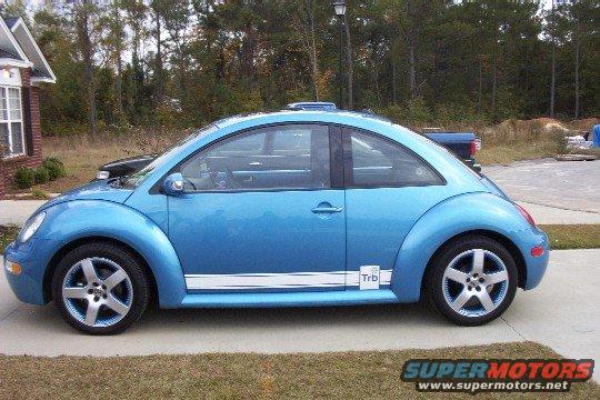 caro4.jpg A few days later I added the stripe.  