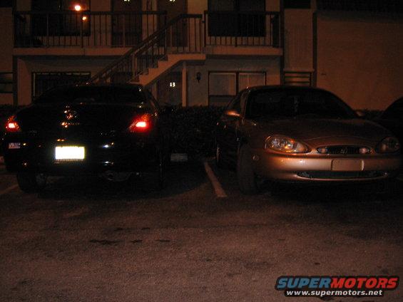 my 2 beauties at night.