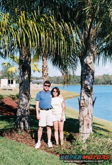Couple standing under palm trees near a lake. A building is visible in the background