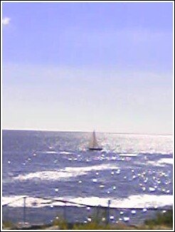 mainesailboat.jpg 
