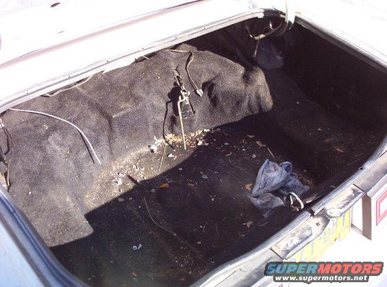 Trunk interior with carpet and spare tire well