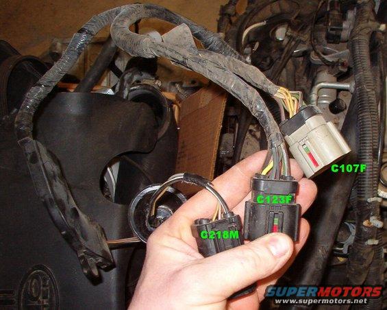 28-bayrconnectors.jpg 2000  Engine bay harness (14290) connectors