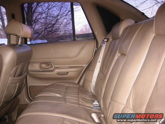 Back seat and door panel of a car. Trees and snow visible through the window