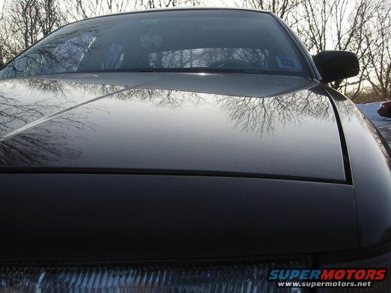Black car hood and windshield reflection of trees