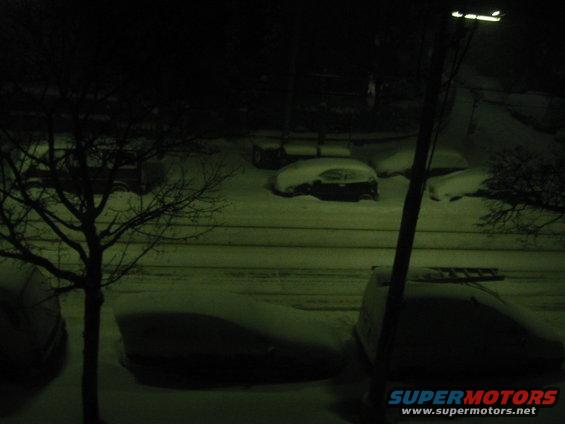 Several cars covered in snow at night, with a bare tree and a lamppost visible