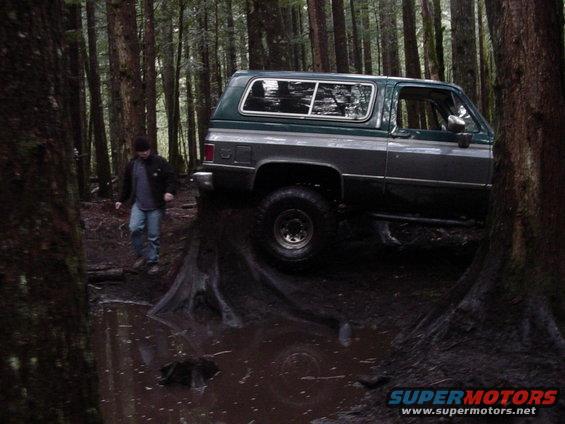 index-lookout-019.jpg rich on a stump