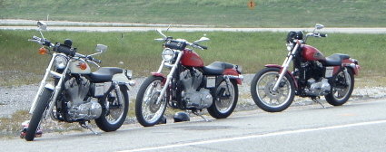 sportsters-046b.jpg 