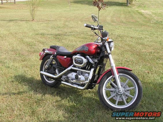 sportster-2.jpg 