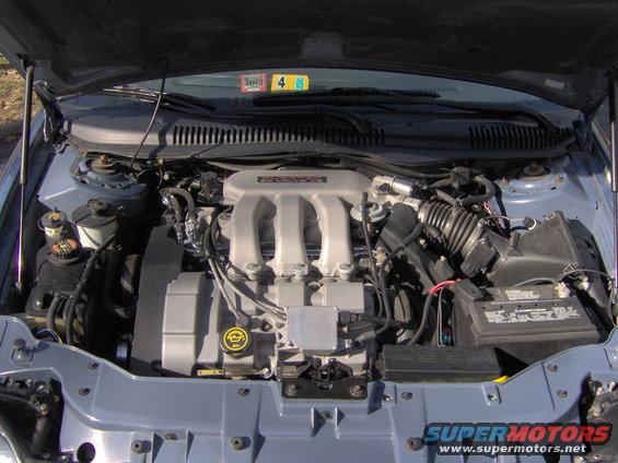 engine.jpg my clean duratec