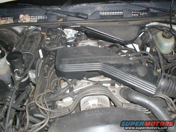 Engine bay with overhead cam cover and alternator