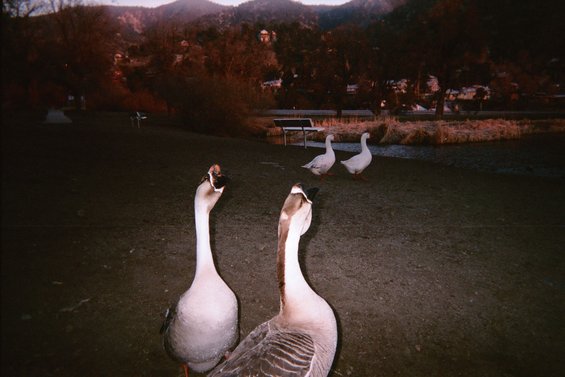 002_1a.jpg Then I started to pretend I had food...