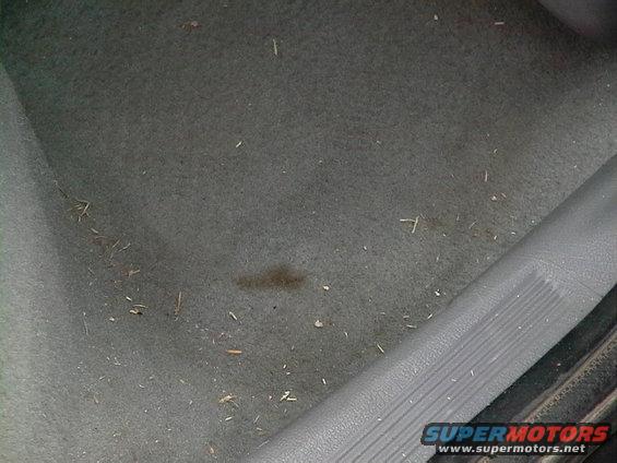 Car floor mat with dirt, grass, and a small stain. Plastic trim on the right