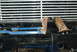 1986 Ford Bronco - here it is finished with exception of some mandatory Ford Blue